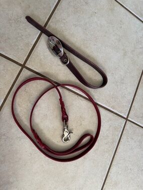 Leather Dog Leash and Collar Set in Deep Red